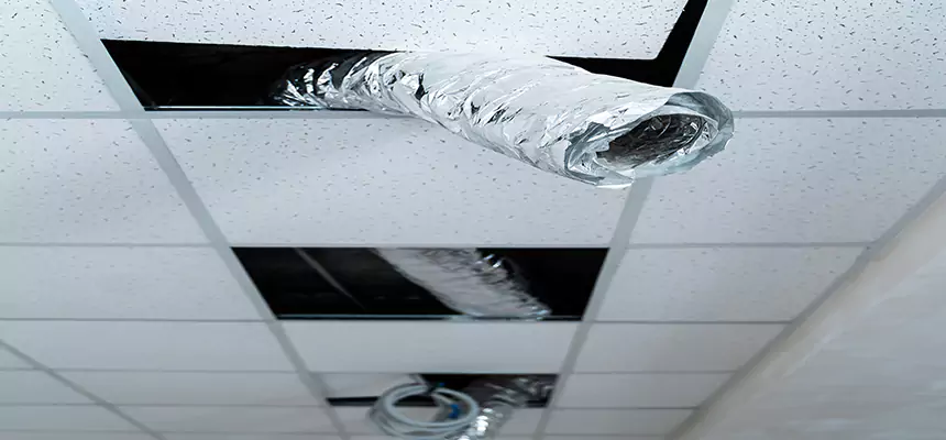 Our Air Duct Pet Hair Removal Services in Rancho Mirage, CA