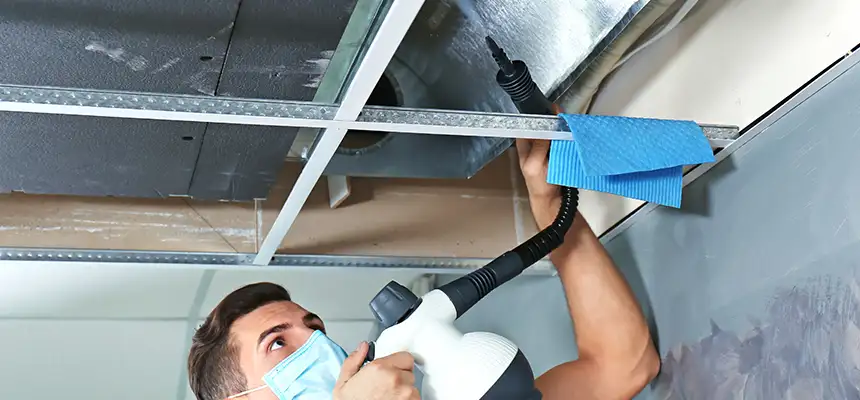 Our Air Duct Rodent Removal Services in Rancho Mirage, CA