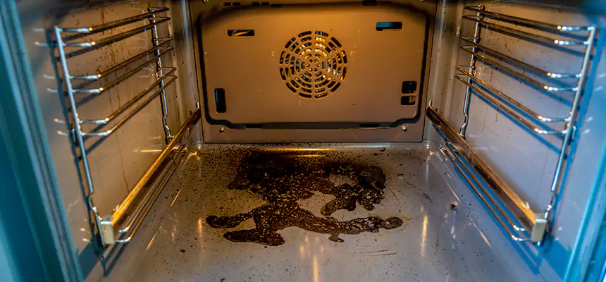 Our Dryer Vent Mold Cleaning Services in Rancho Mirage, CA