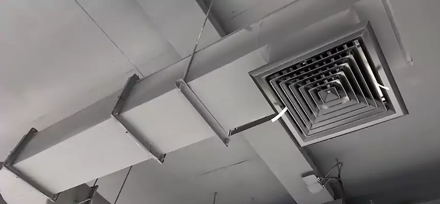 Our Pest Removal From Ducts Services in Rancho Mirage, CA