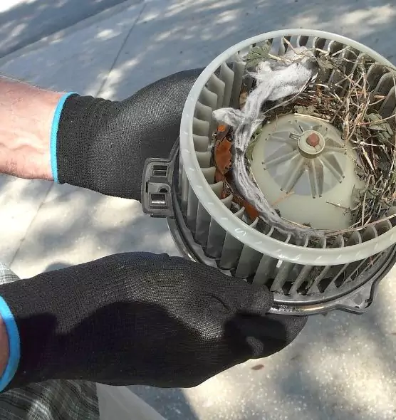 About Air Duct Mice Removal in Rancho Mirage, CA