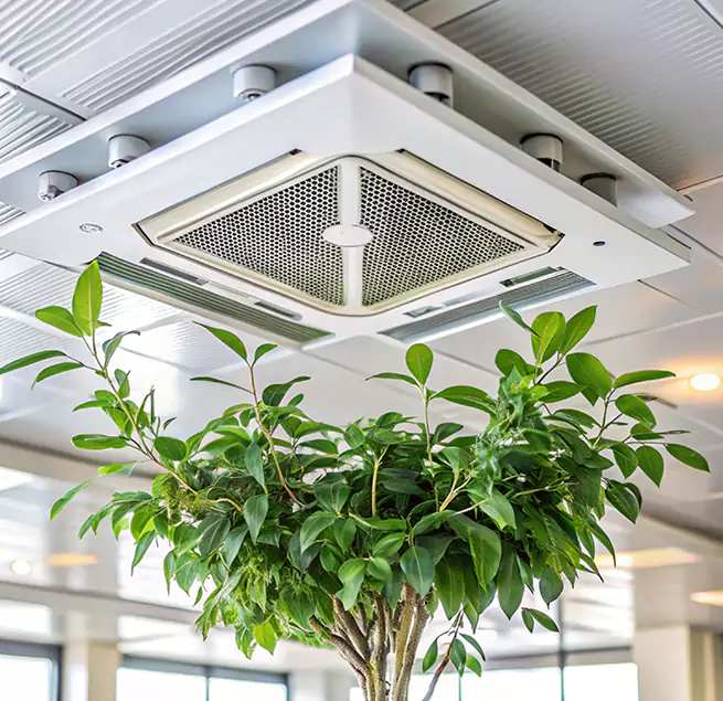 Why Homeowners & Businesses Trust Us in Rancho Mirage, CA?